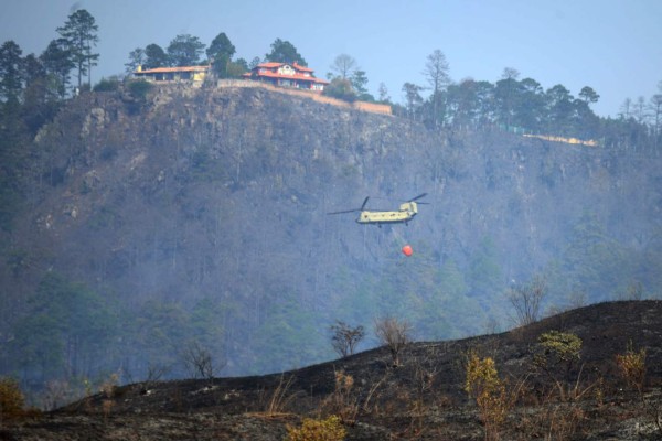 Ofrecen L250 mil de recompensa por responsables de incendio en El Picacho y El Hatillo 