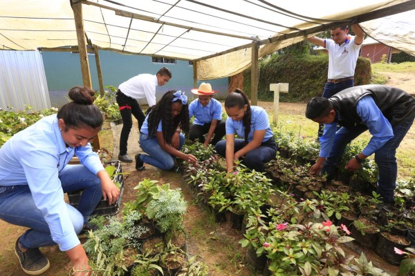 Escuela Agrícola atiende a 70 jóvenes en El Merendón