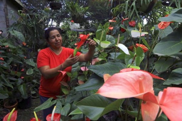 La otra cara multicolor de Siguatepeque