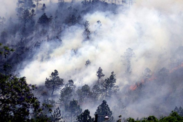 Honduras ha perdido 1,063 hectáreas de bosque en unos 31 incendios en 2020