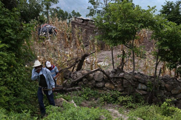 L1,372 millones costará plan para mitigar sequía en Honduras