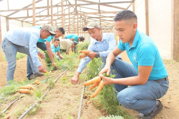 En el campo y en las aulas se forman nuevos agricultores