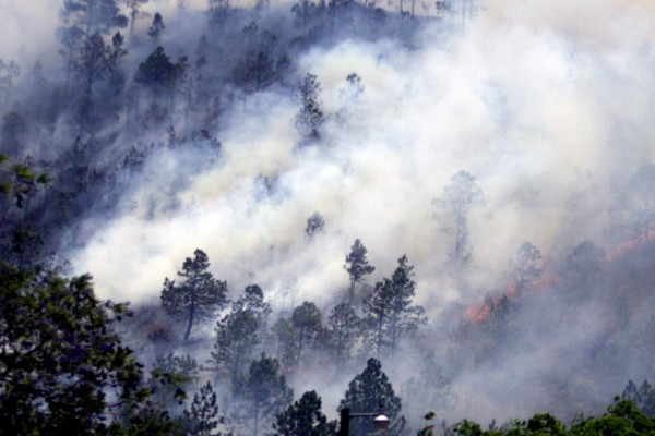 Incendios en Honduras han destruido unas 2,500 hectáreas de bosque