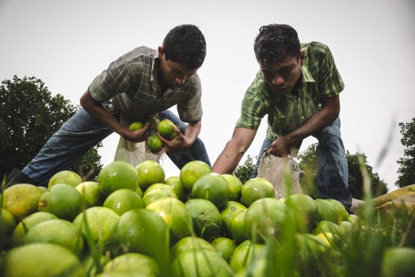 Honduras es el tercer país que más inversión capta en CA