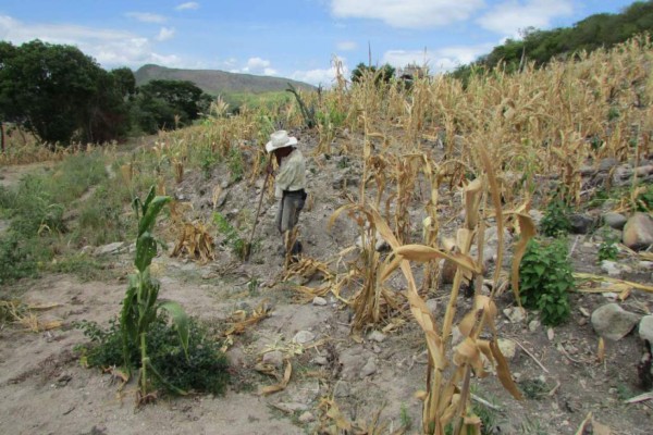 Chile apoyará un plan para combatir efectos del cambio climático en Honduras
