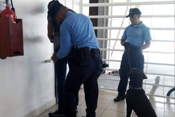 Perro policía detecta droga a joven en Roatán