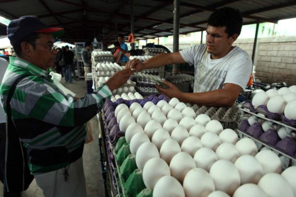 ¿Crees que se cumpla el congelamiento del precio de los huevos?
