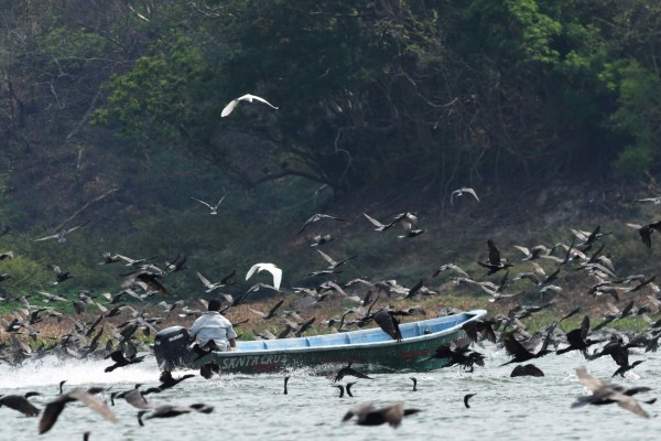Pescadores y aves se disputan los peces en lago salvadoreño