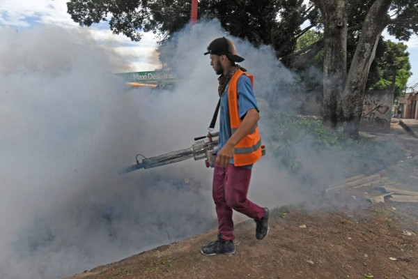 Honduras reporta 492 casos de dengue en lo que van de 2021