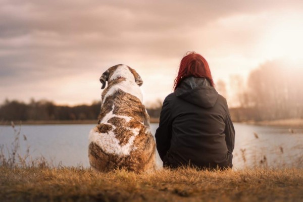 Los perros nacen preparados para comunicarse con las personas