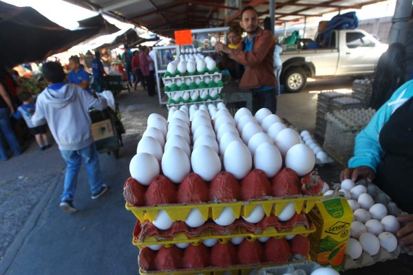 Cartón de huevos sube L5.00 en los mercados capitalinos