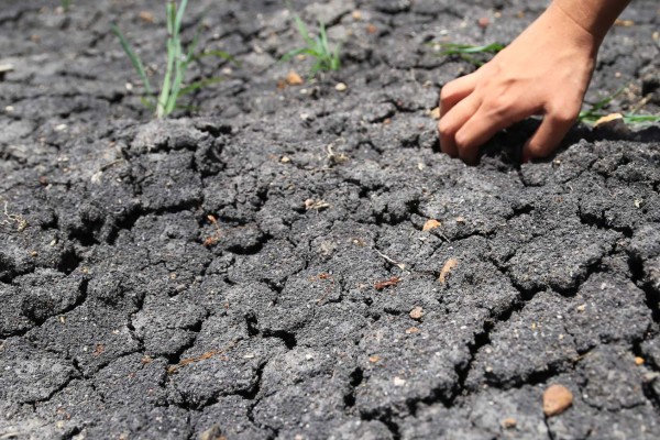 Lagunas y ríos de Honduras se evaporan por sequía