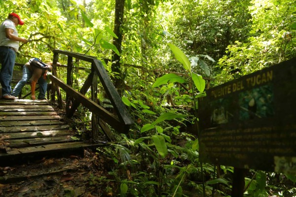 Pico Bonito, aguas cristalinas y una exuberante vida silvestre