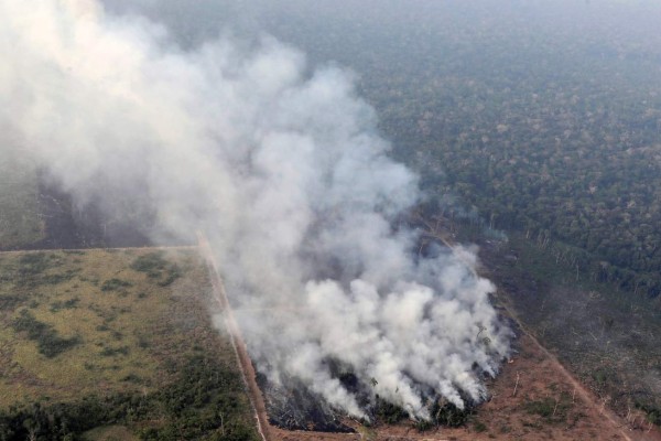 Chile ofrece ayuda a Brasil para enfrentar incendios en la Amazonia