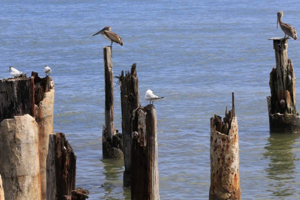 El puerto de Tela, destino turístico que lo tiene todo