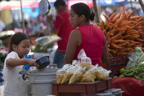 La agricultura, clave para reducir el hambre en Honduras  