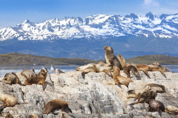 Navegar en Ushuaia, la ciudad más austral del mundo