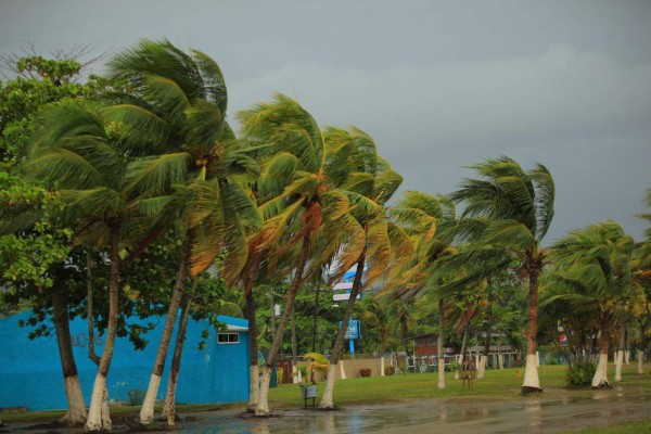 Puerto Cortés y Omoa se preparan ante la llegada de Earl