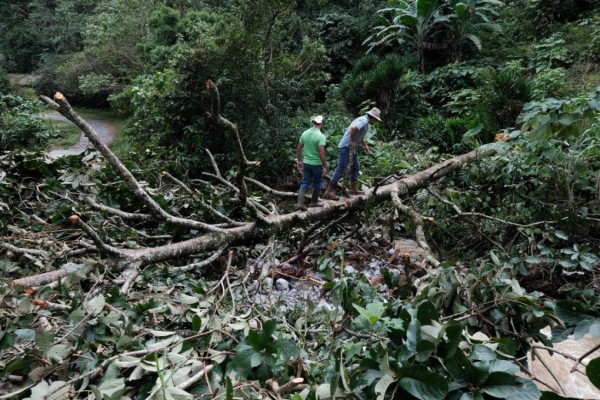 Foto: La Prensa