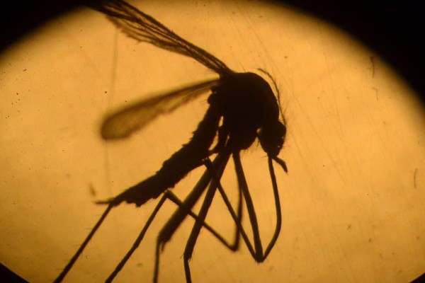 Confirman contagio de zika de mujer a hombre por sexo
