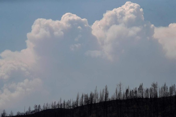 Incendios en California generan preocupación ante nueva ola de calor