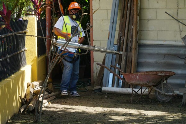 Fumigarán más de mil centros educativos de San Pedro Sula