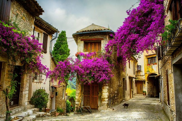 beautiful old town of Provence