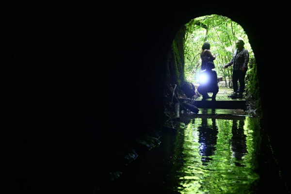 Parque La Tigra, reserva ecológica en la capital