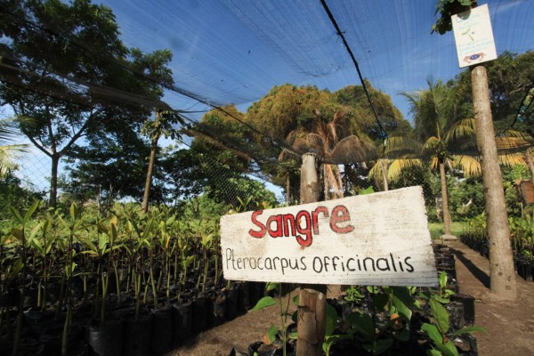 Un paseo por Cuero y Salado en el Caribe de Honduras