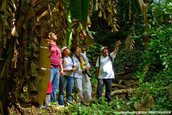 Nicaragua acogerá reunión sobre el turismo sostenible en países caribeños