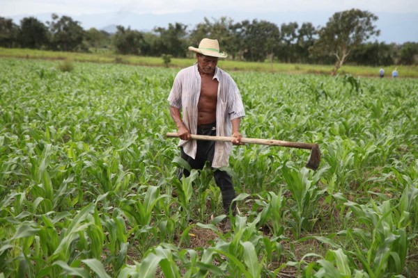 Tras 40 años de planes, represa El Tablón será una realidad