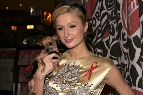Paris Hilton llora la muerte de su chihuahua Tinkerbell