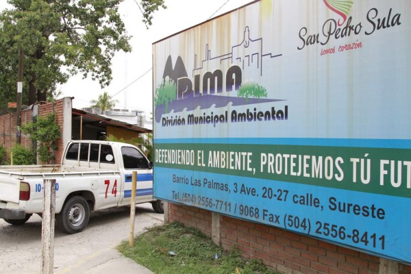 Unas 50 denuncias a la semana por contaminación y tala recibe Dima