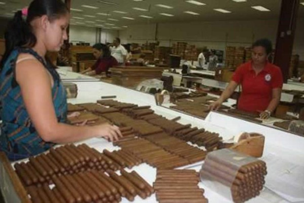 La agroindustria hondureña tirará a nuevos blancos en 2014