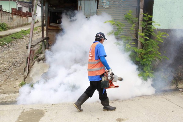 Masivo operativo contra el zika en El Carmen de San Pedro Sula