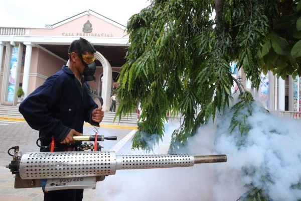 Masiva asistencia en jornada para combatir el virus del Zika