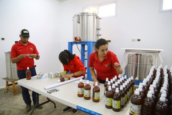 Apicultores se preparan para exportar miel a Europa y EUA
