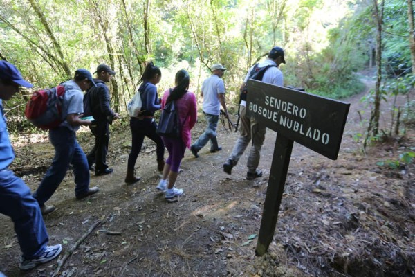 Inicia movilización de hondureños por el feriadón