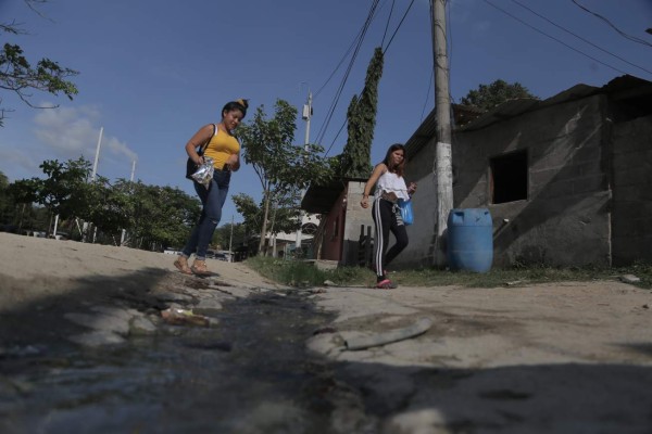 Eliminarán criaderos de zancudos en 800 casas de la aldea El Carmen