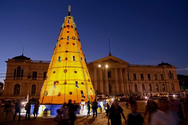 Papa Francisco: 'Pesebre y árbol tocan el corazón de todos'