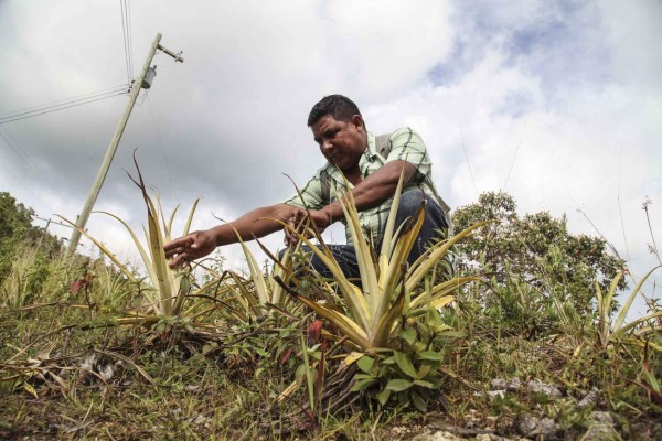 Hambruna en San Marcos de la Sierra, municipio más pobre de Honduras