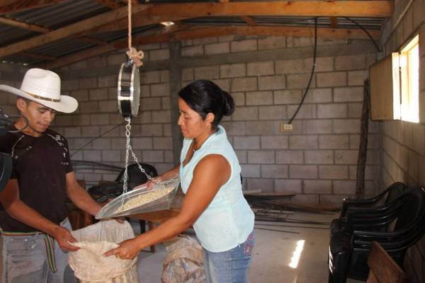 Con cajas rurales se libran de los efectos de la sequía en Ocotepeque