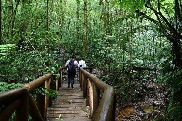 Parque La Tigra, reserva ecológica en la capital