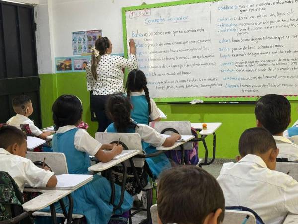 Educación indicó que durante estas jornadas los docentes deberán impartir sus clases con normalidad y, además, dejar asignaciones a los estudiantes para garantizar la continuidad del proceso educativo.