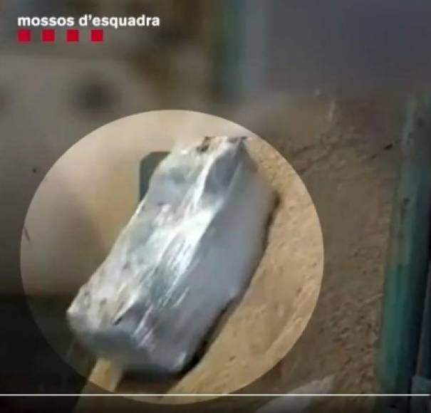 Los agentes sospechaban que estaba a punto de llegar al puerto de Barcelona un contenedor procedente de la República Dominicana, con una carga declarada de café a granel y entre la que se escondería una cantidad indeterminada de cocaína.