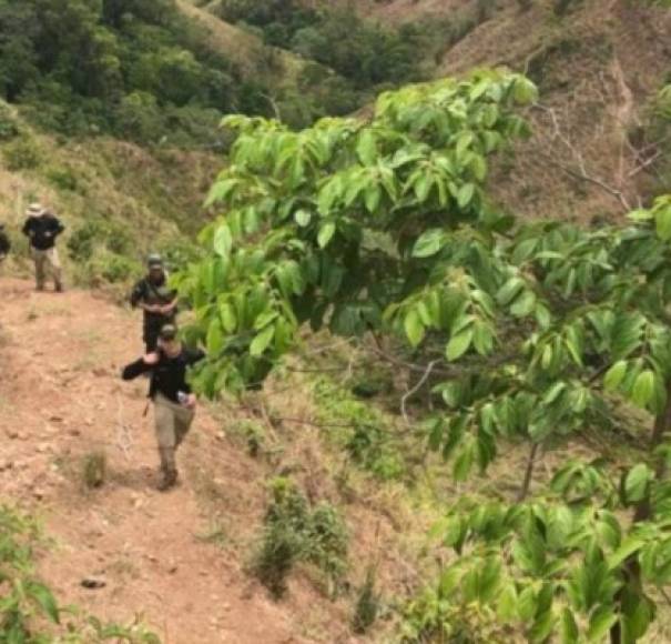El operativo se encuentra en desarrollo con el apoyo de la Fuerza de Tarea Xatruch, apostada en el municipio de Tocoa, Colón,