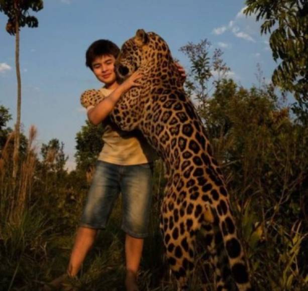 'Cada vez que visito a mis padres siento que los jaguares también me extrañan, juegan conmigo de una manera diferente' contó el joven.