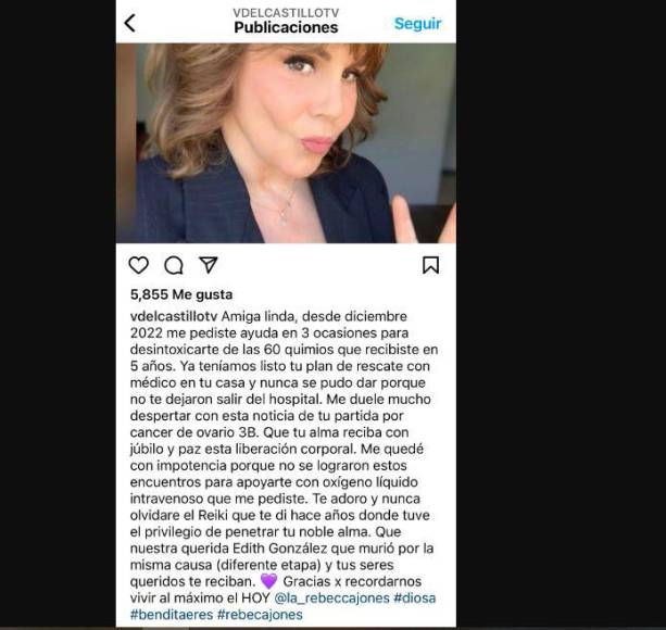 En exclusiva para el programa ‘Ventaneando’, la hermana de Kate del Castillo dijo que su intención no fue hacerse promoción ni faltar al respeto a Rebecca Jones. 