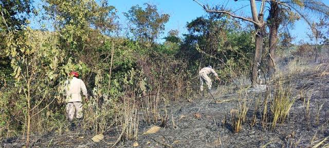 ¿Que es el “efecto lupa” que provoca los incendios forestales?