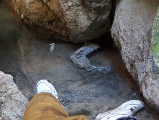 Identifican a adolescente raptado entre los seis cadáveres hallados en cueva de Tegucigalpa